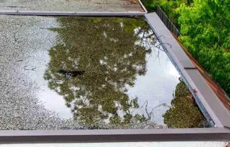 water collected on a flat roof